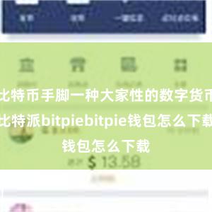 比特币手脚一种大家性的数字货币比特派bitpiebitpie钱包怎么下载