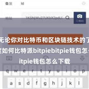 无论你对比特币和区块链技术的了解程度如何比特派bitpiebitpie钱包怎么下载